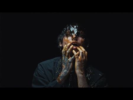Stain The Canvas - What Are We Now ‽ (Official Video)