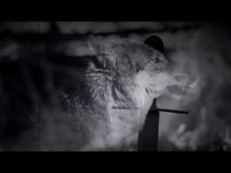 HäXäR - Aus Der Asche Wir Steigen (Official Video)