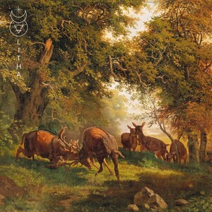 Goety - Litha