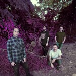 Image band