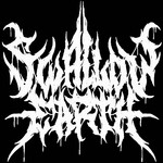Image band