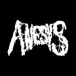 Image band