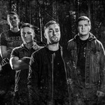 Image band