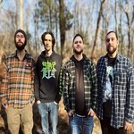 Image band