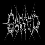 Image band