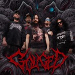 Image band