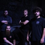 Image band