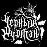 Image band