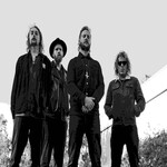 Image band