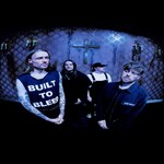 Image band
