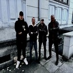 Image band