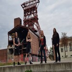 Image band