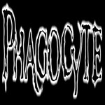 Image band