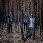 Image band