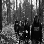 Image band