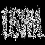 Image band