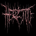 Image band