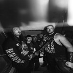 Image band