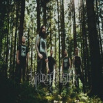 Image band